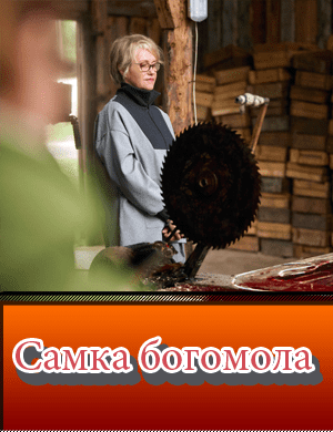 Самка богомола смотреть